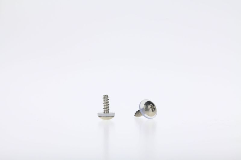 Stainless steel screws with plastic washer